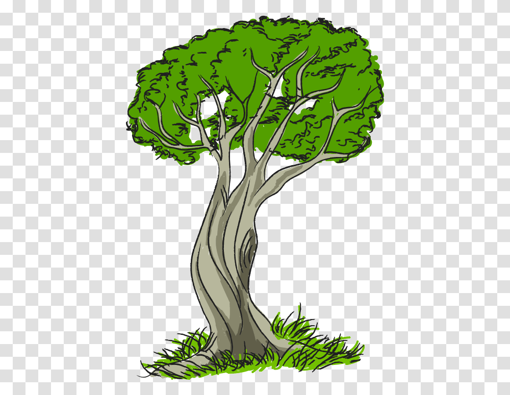 Nature Clip Art, Plant, Vegetable, Food, Tree Transparent Png