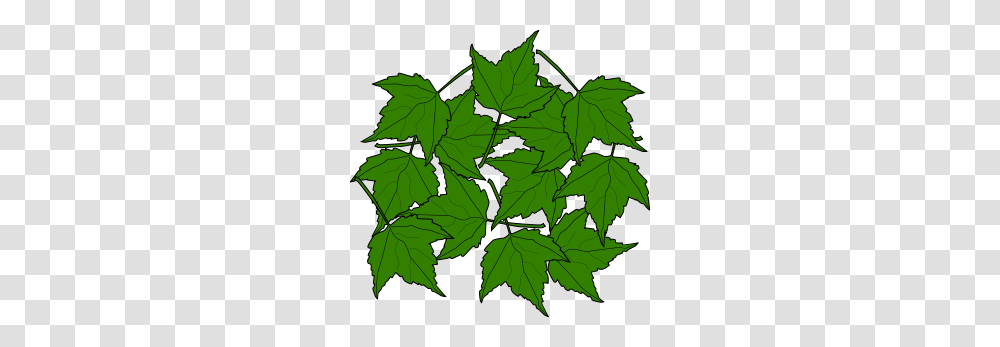 Nature Clip Arts, Leaf, Plant, Tree, Maple Leaf Transparent Png