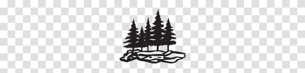 Nature Clipart Black And White Clip Art, Tree, Plant, Fir, Abies Transparent Png