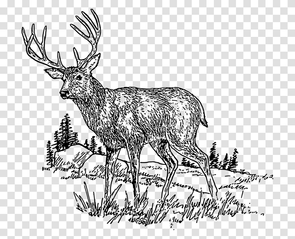Nature Clipart Deer Whitetailed Clipart Deer Images Black And White, Gray, World Of Warcraft Transparent Png