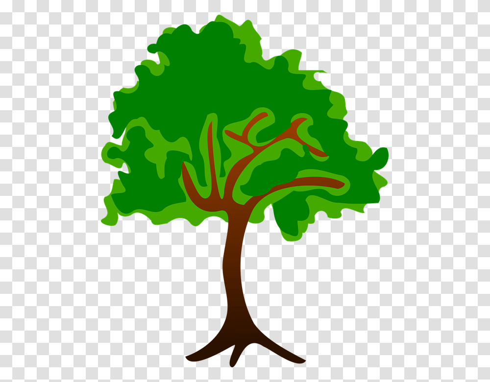 Nature Clipart Image, Plant, Tree, Flower, Blossom Transparent Png