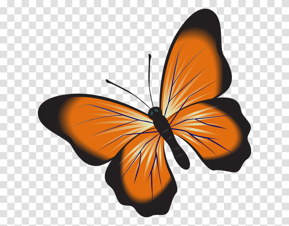 Nature Clipart, Insect, Invertebrate, Animal, Butterfly Transparent Png