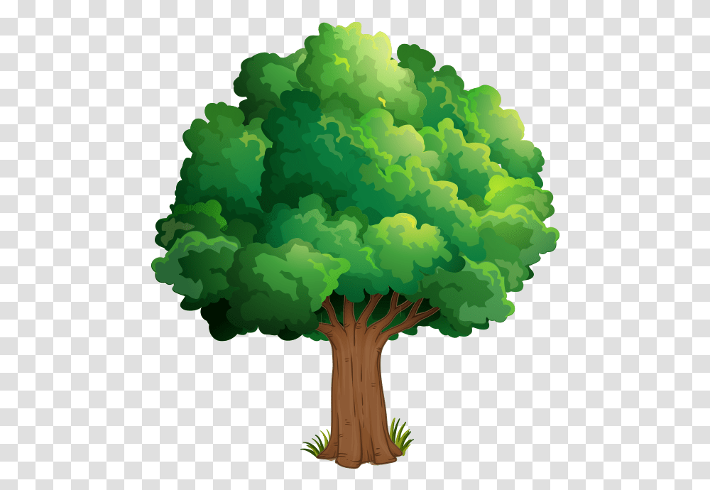 Nature Drawing Theatrical Scenery Clip Art Elm Tree Clip Art, Plant, Fungus, Vegetable, Food Transparent Png