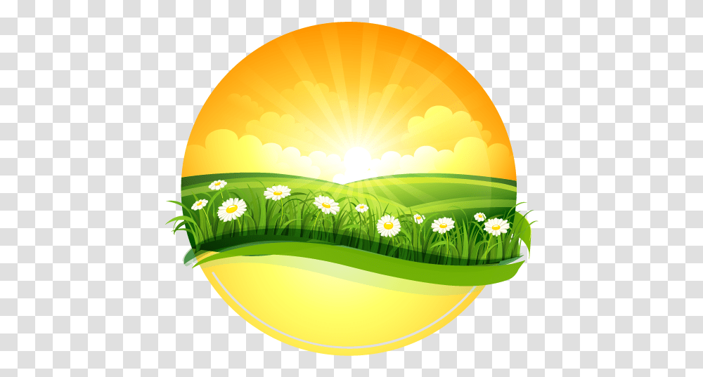 Nature Drawings Images Illustration, Outdoors, Sunlight, Balloon, Field Transparent Png