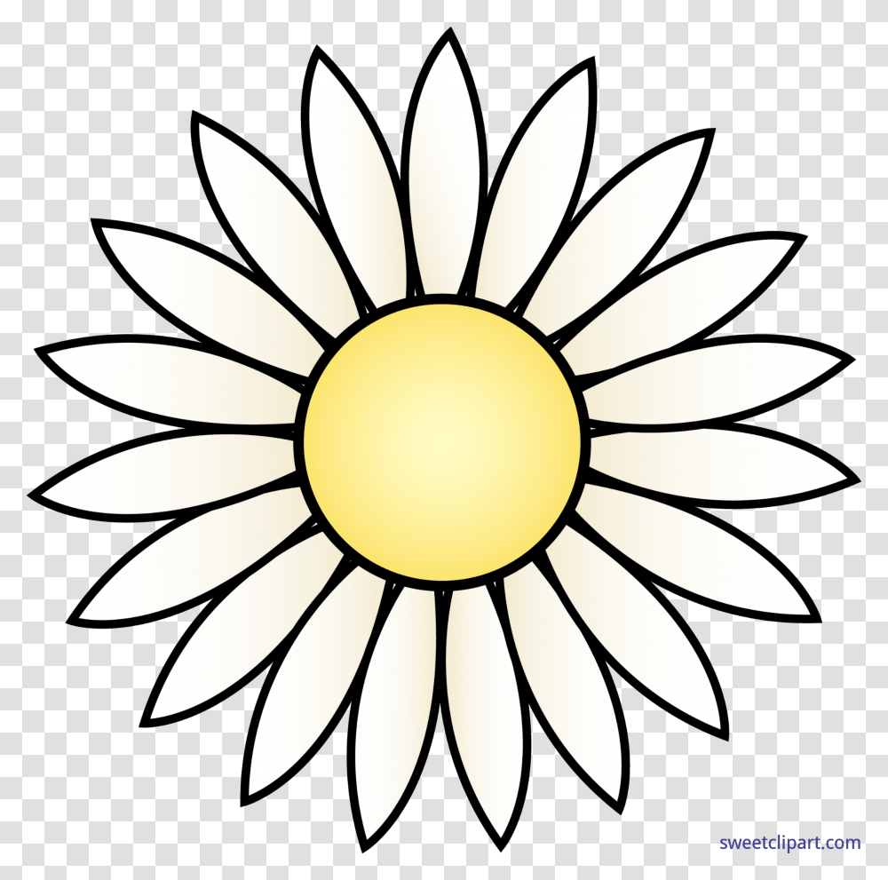 Nature Flowers Daisy Clip Art, Plant, Daisies, Blossom, Lamp Transparent Png