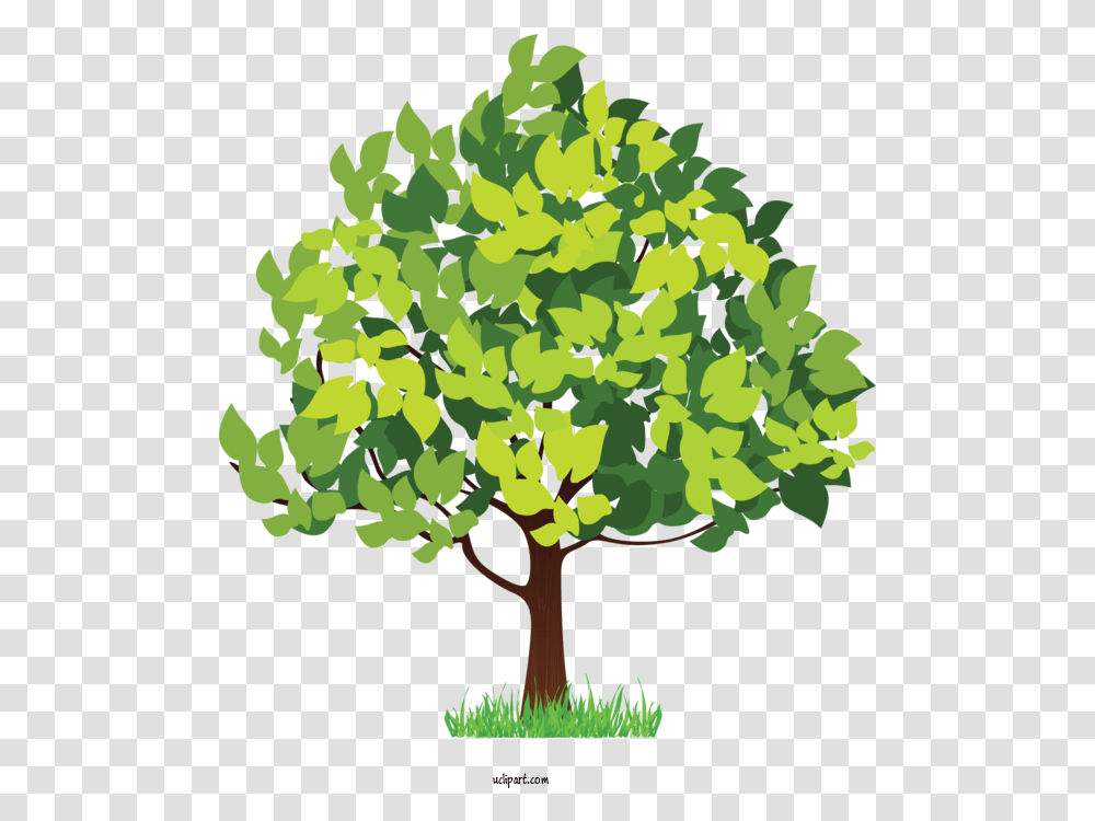 Nature Four Seasons Hotels And Resorts Hotel For Tree Tree Seasons Puzzle For Kids, Plant, Oak, Sycamore, Tree Trunk Transparent Png