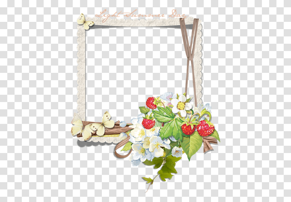 Nature Frame, Plant, Flower, Blossom, Flower Arrangement Transparent Png