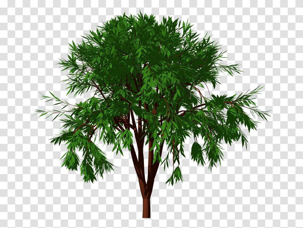 Nature Garden, Plant, Tree, Leaf, Vase Transparent Png