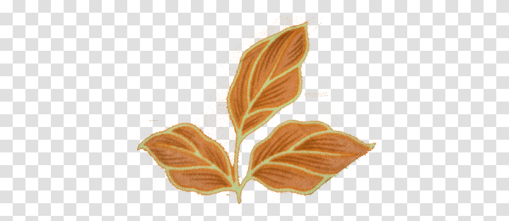 Nature Heartpngcom, Leaf, Plant, Veins, Ornament Transparent Png