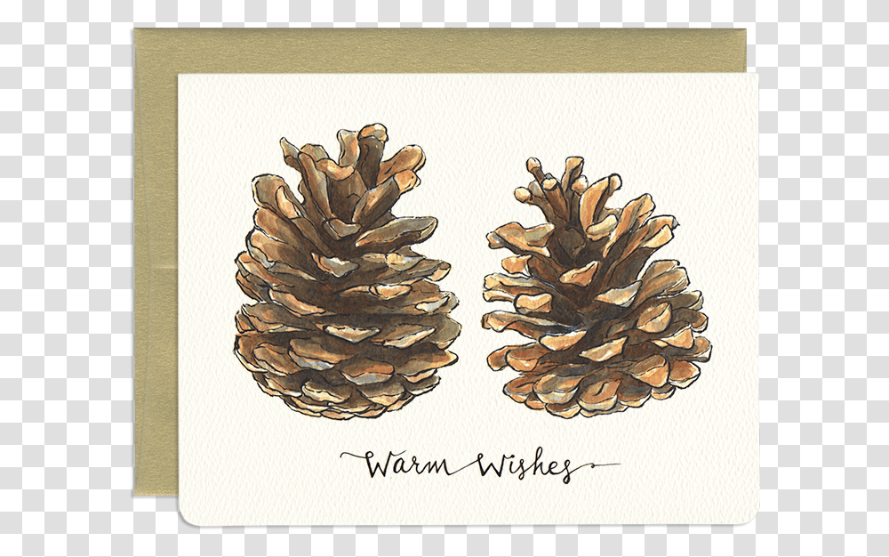 Nature Holiday Greeting Card Pine Cone Puns, Tree, Plant, Conifer, Larch Transparent Png