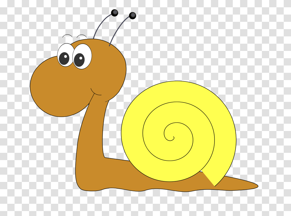 Nature, Invertebrate, Animal, Snail Transparent Png