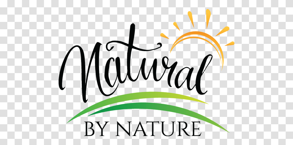 Nature Logo Picture Calligraphy, Spider Web, Graphics, Art, Text Transparent Png