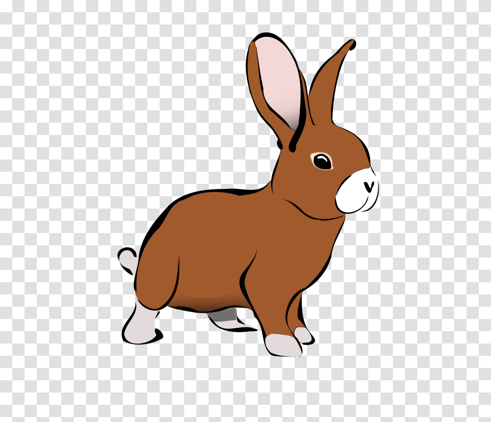 Nature, Mammal, Animal, Rabbit Transparent Png