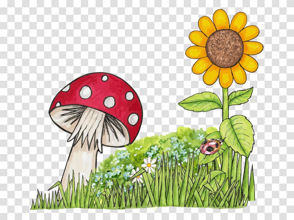 Nature Nature Images Image Hd Photos Clipart Mushroom And Sunflower, Plant, Bird, Animal, Agaric Transparent Png