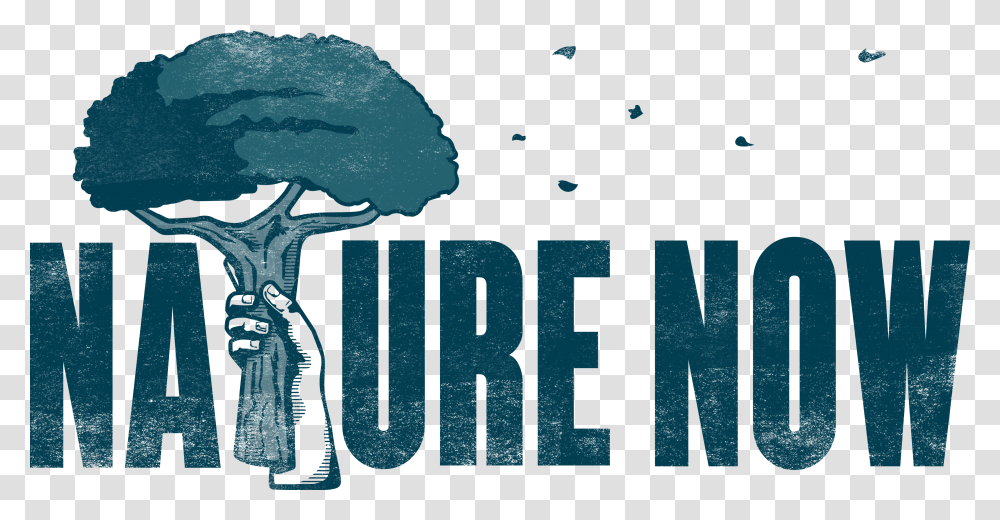 Nature Now Tree, Poster, Advertisement, Outdoors Transparent Png