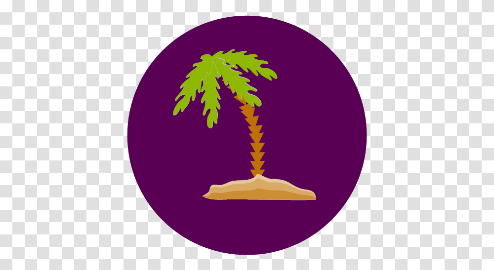 Nature Palm Tree Icon, Plant, Arecaceae, Flower, Blossom Transparent Png