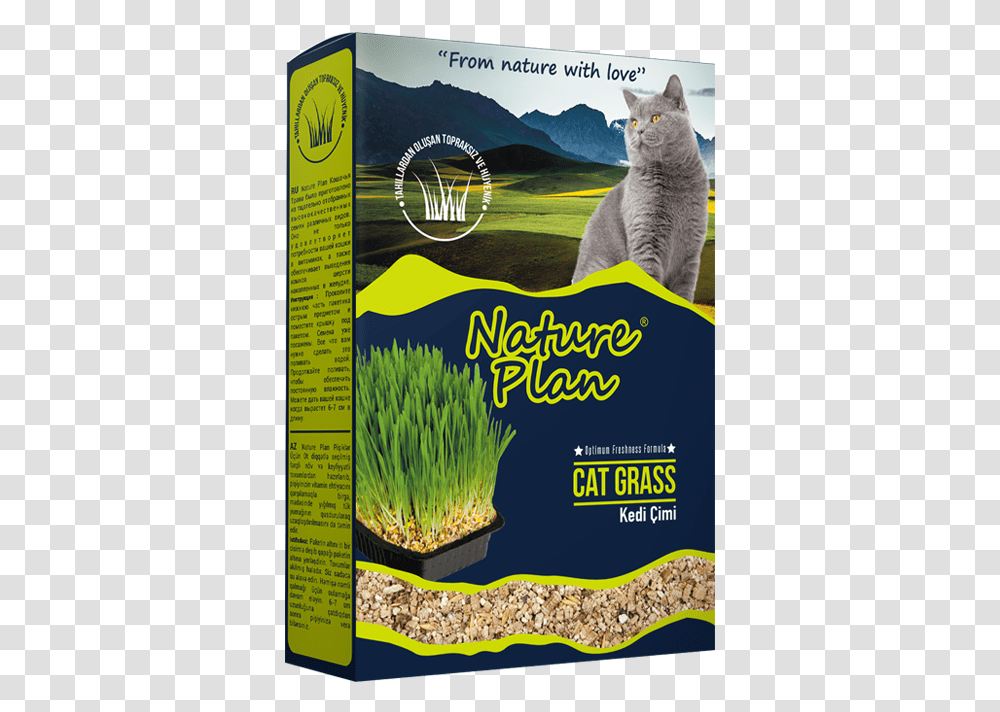 Nature Plan Cat Grass, Advertisement, Poster, Pet, Mammal Transparent Png