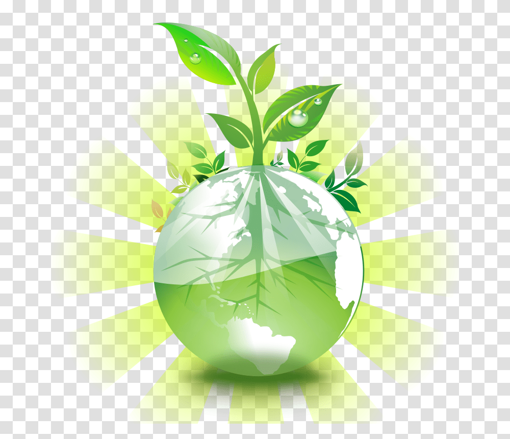 Nature, Plant, Green, Fruit Transparent Png