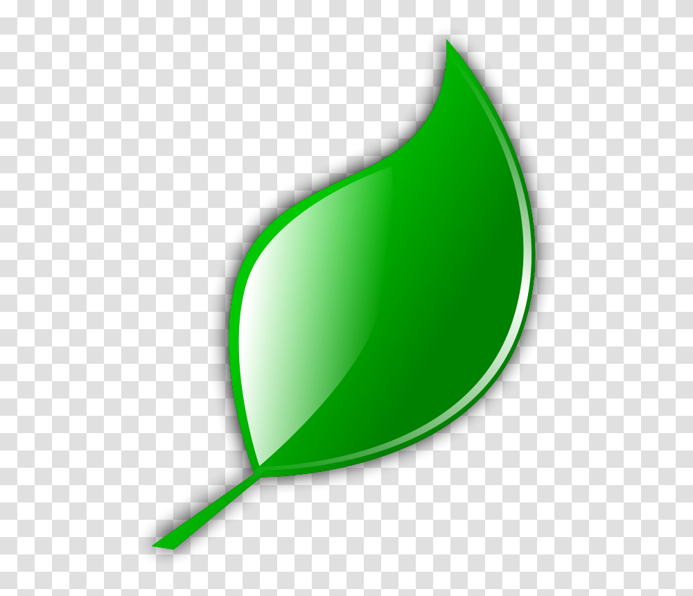 Nature, Plant, Leaf, Balloon Transparent Png