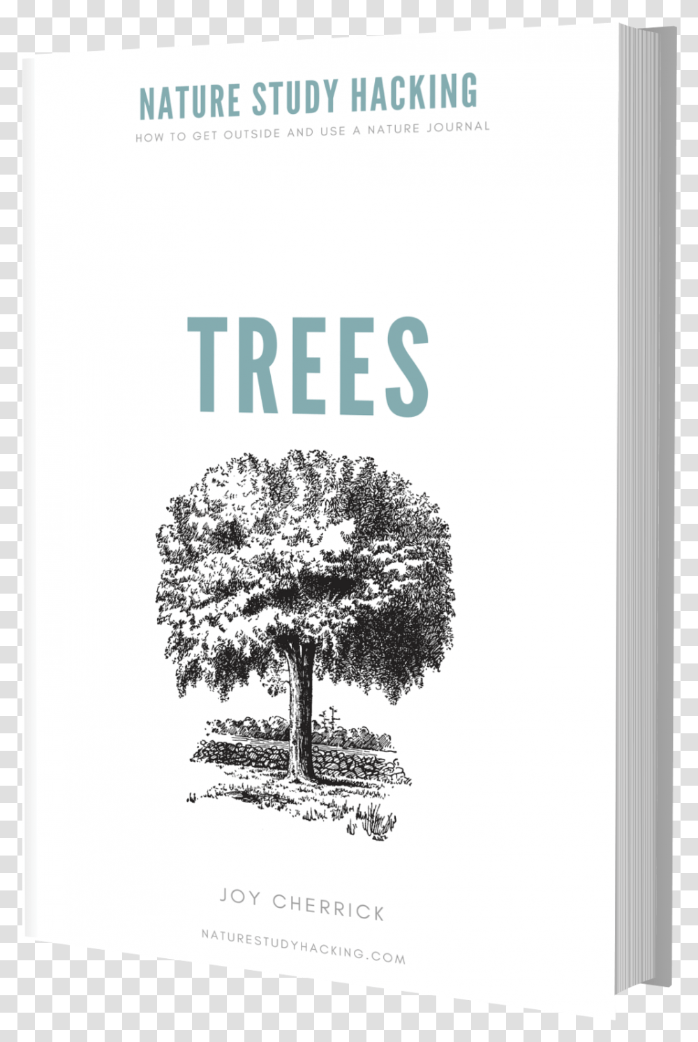 Nature Study Hacking Trees, Plant, Poster, Advertisement Transparent Png