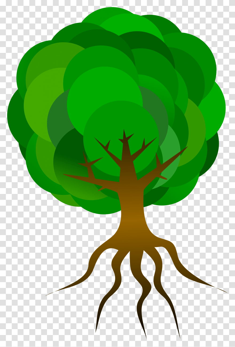 Nature Tree Branches Roots Skeleton Plant Leaves Tree With Roots Animation, Green, Vegetable, Food Transparent Png