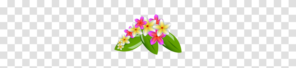 Nature Vector Clipart, Plant, Flower, Blossom, Petal Transparent Png