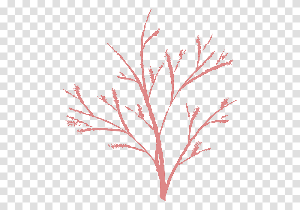 Nature Winter Twig Dead Bush Ranting, Floral Design, Pattern Transparent Png