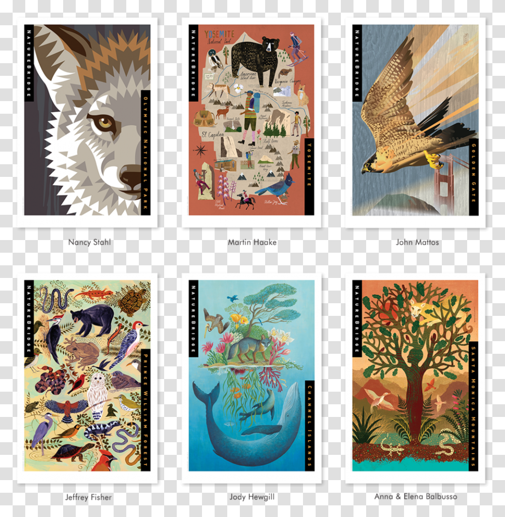 Naturebridge Limited Edition Framed Prints Eagle, Collage, Poster, Advertisement, Bird Transparent Png