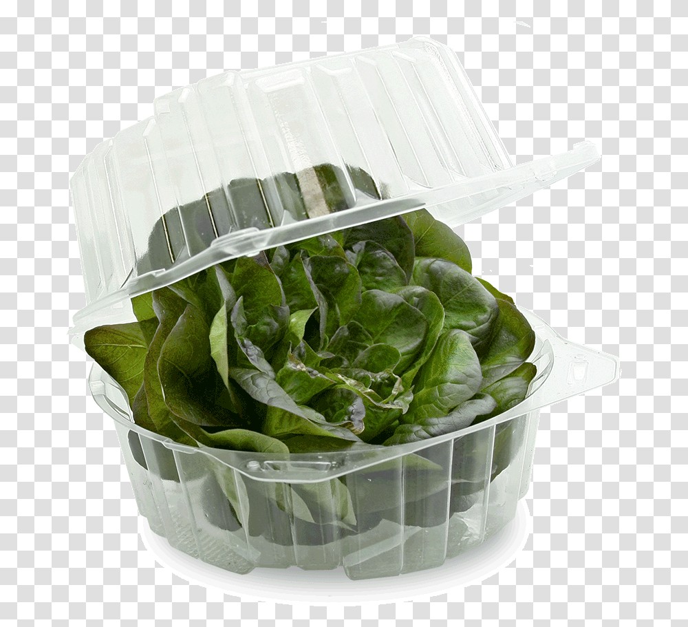 Natures Market Hydroponic Produce, Plant, Vegetable, Food, Spinach Transparent Png