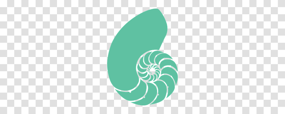 Nautilus Holiday, Spiral, Coil, Soccer Ball Transparent Png