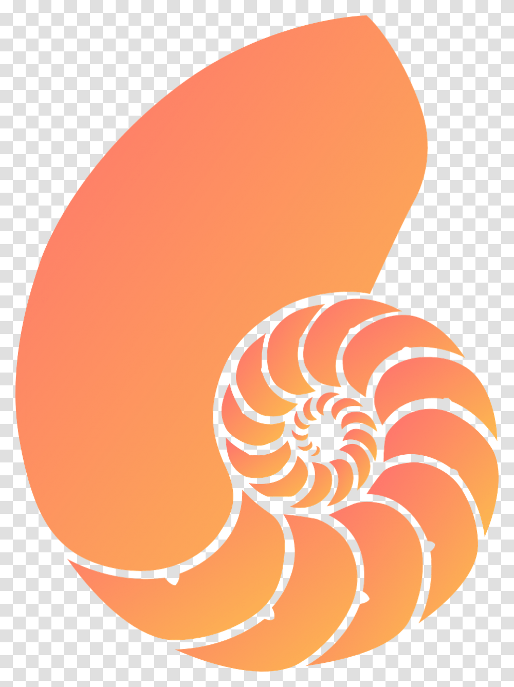 Nautilus Shell Clipart, Animal, Lamp, Sea Life, Invertebrate Transparent Png