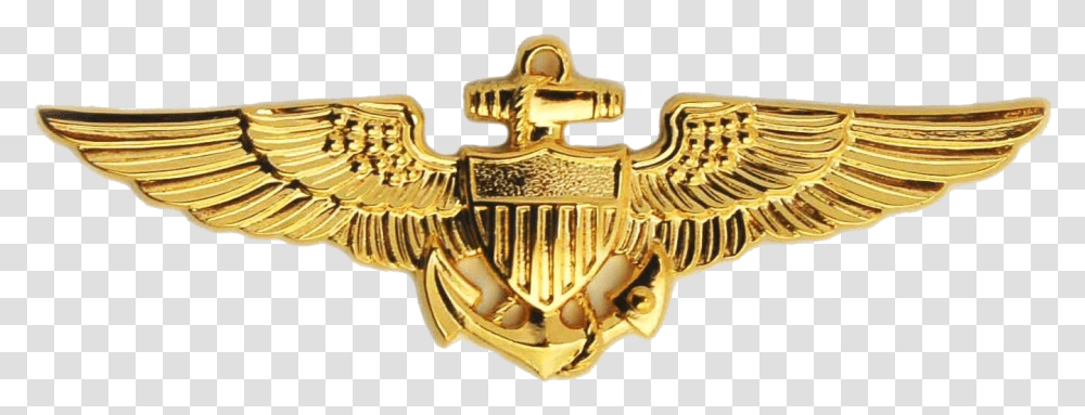 Naval Aviator Badge Naval Aviator Wings, Logo, Trademark, Dinosaur Transparent Png