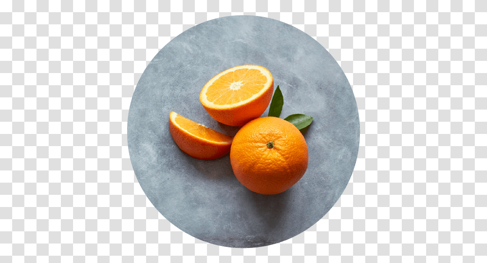 Navel Oranges Orangelo, Citrus Fruit, Plant, Food, Grapefruit Transparent Png