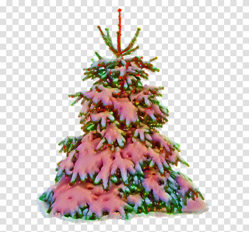 Navidad Merrychristmas Xmas Pino Tree, Plant, Ornament, Christmas Tree, Birthday Cake Transparent Png