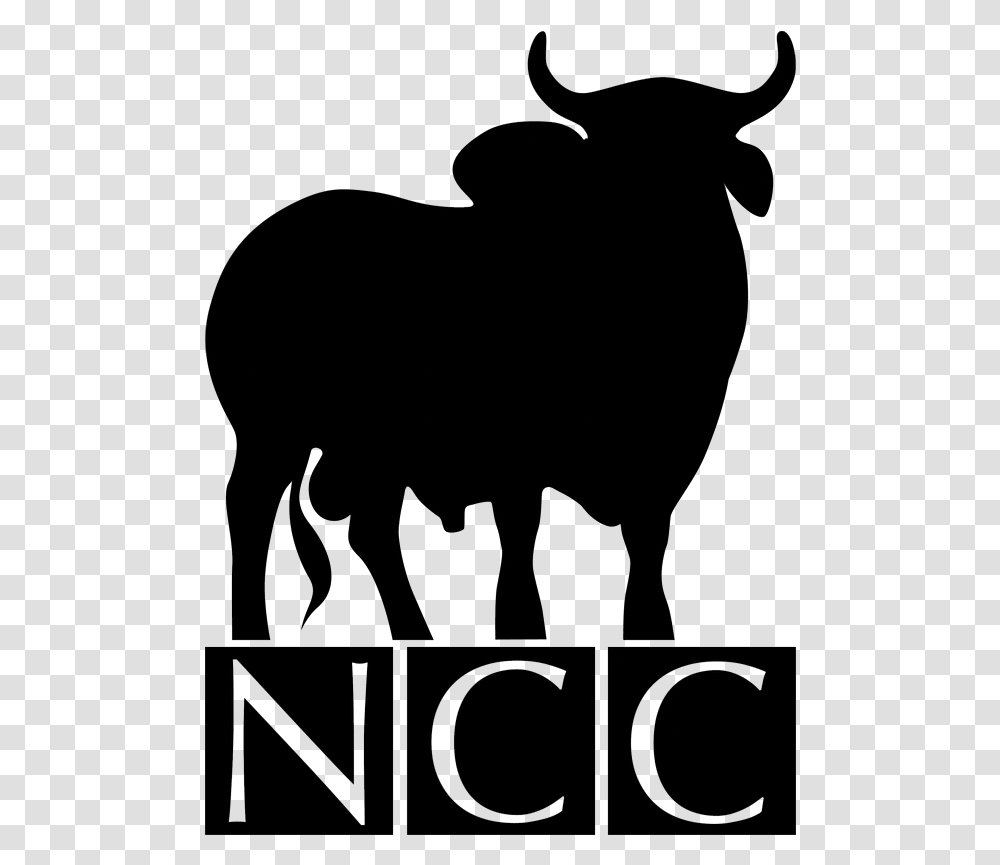 Ncc Brahmans Brahman Bull Head Silhouette Brahman Bull Head Silhouette, Animal, Mammal, Horse Transparent Png