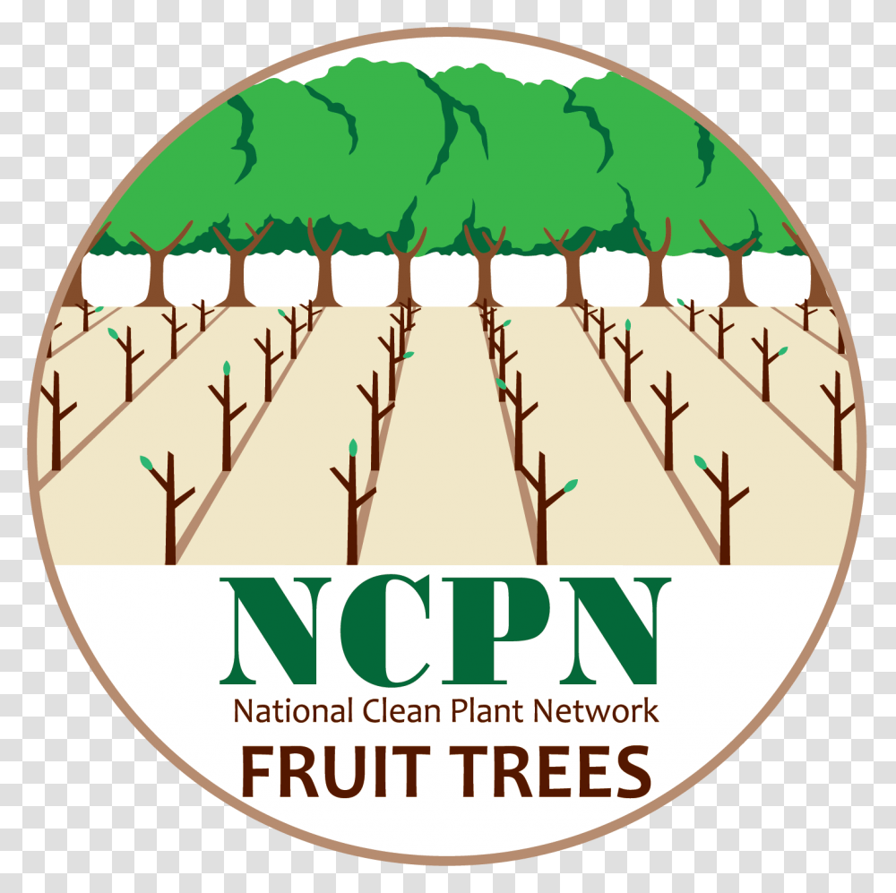 Ncpn Fruit Tree Hops, Plant, Wasp, Animal, Vegetation Transparent Png