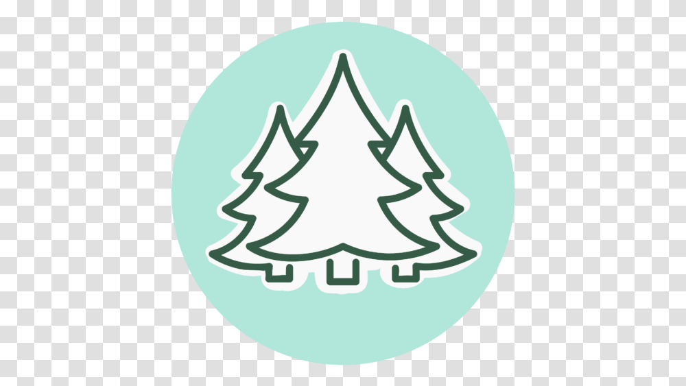 Nearby Areas To The Apostle Islands Language, Tree, Plant, Ornament, Christmas Tree Transparent Png