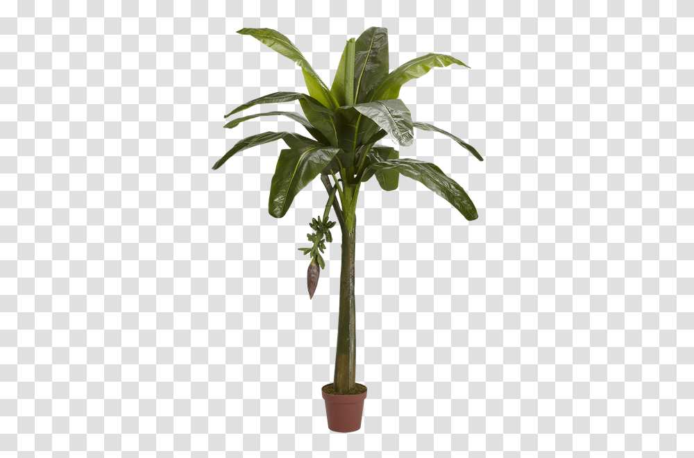 Nearly Natural Banana Tree In Pot Decorist, Plant, Palm Tree, Arecaceae Transparent Png
