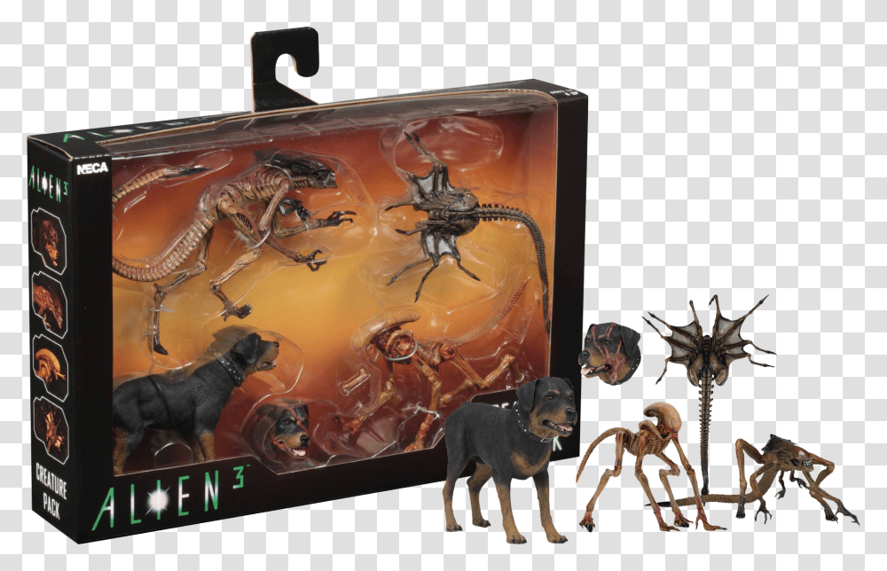 Neca Alien 3 Creature Pack, Honey Bee, Insect, Invertebrate, Animal Transparent Png