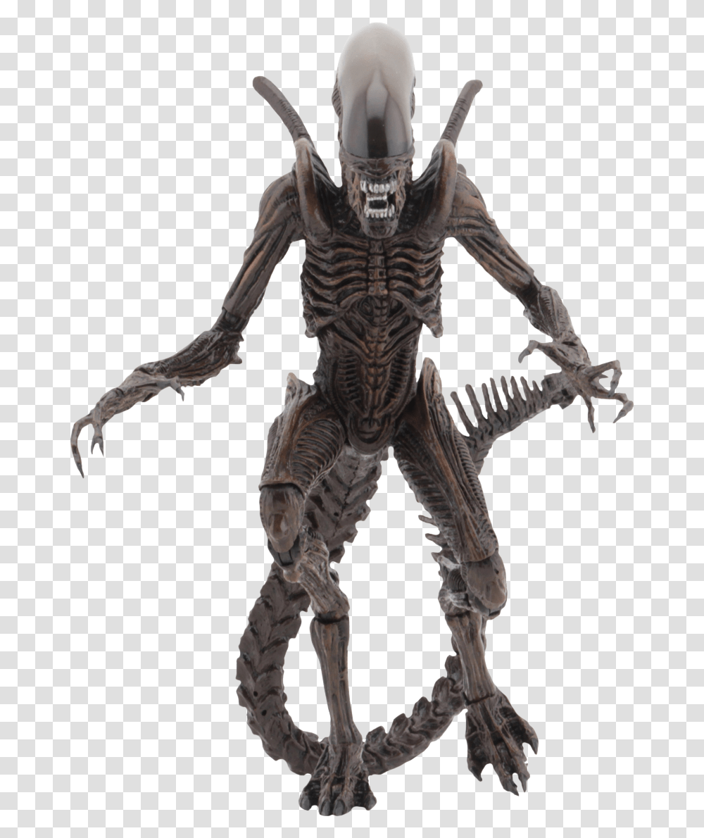 Neca Alien Resurrection Warrior, Skeleton, Person, Human, Ninja Transparent Png