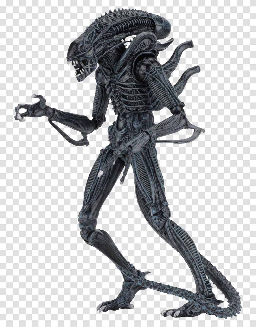Neca Ultimate Alien Warrior, Skeleton, Person, Human Transparent Png