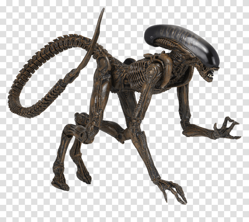 Neca Ultimate Dog Alien, Skeleton, Animal, Reptile, Dinosaur Transparent Png
