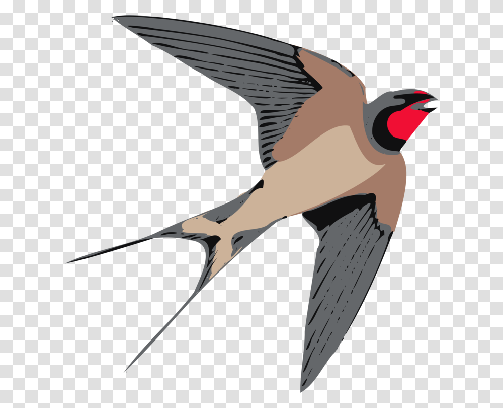 Neckbeaksongbird Swallow Clipart, Animal, Bee Eater, Flying, Swordfish Transparent Png