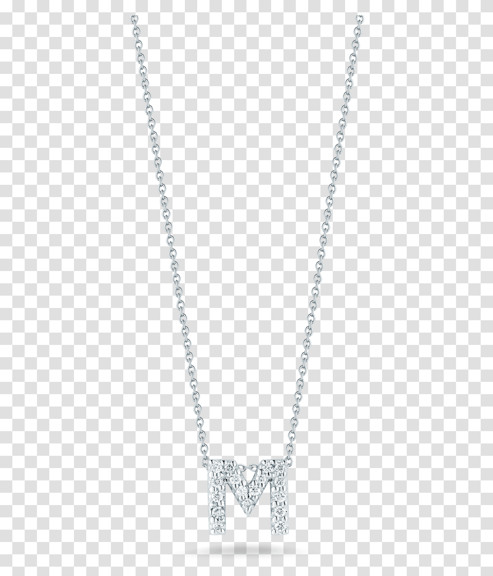 Necklace, Chain, Jewelry, Accessories, Accessory Transparent Png