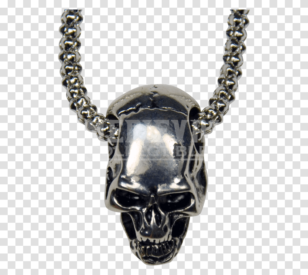 Necklace Chain Skull Necklace, Pendant, Animal Transparent Png