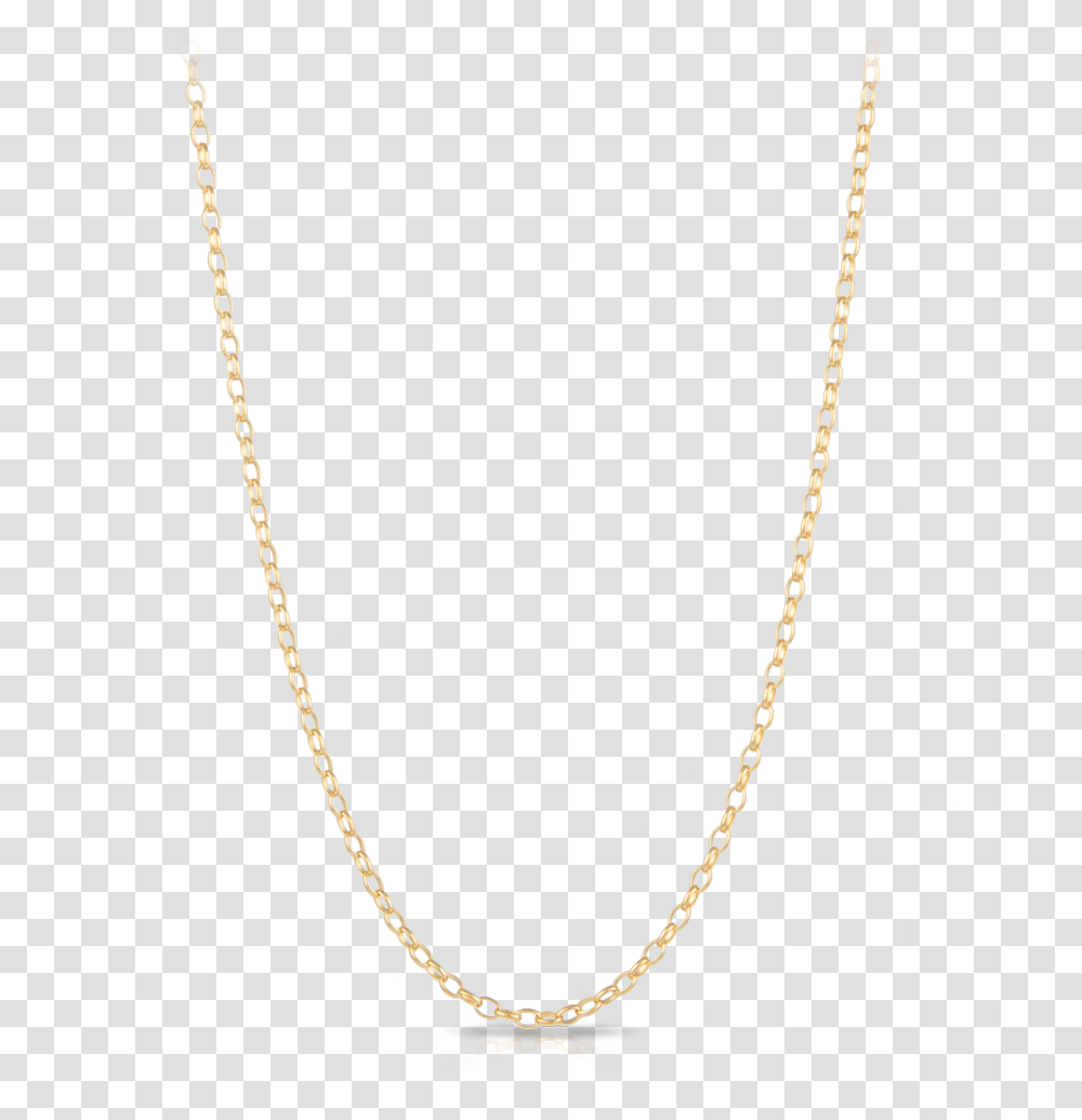 Necklace, Jewelry, Accessories, Accessory, Chain Transparent Png