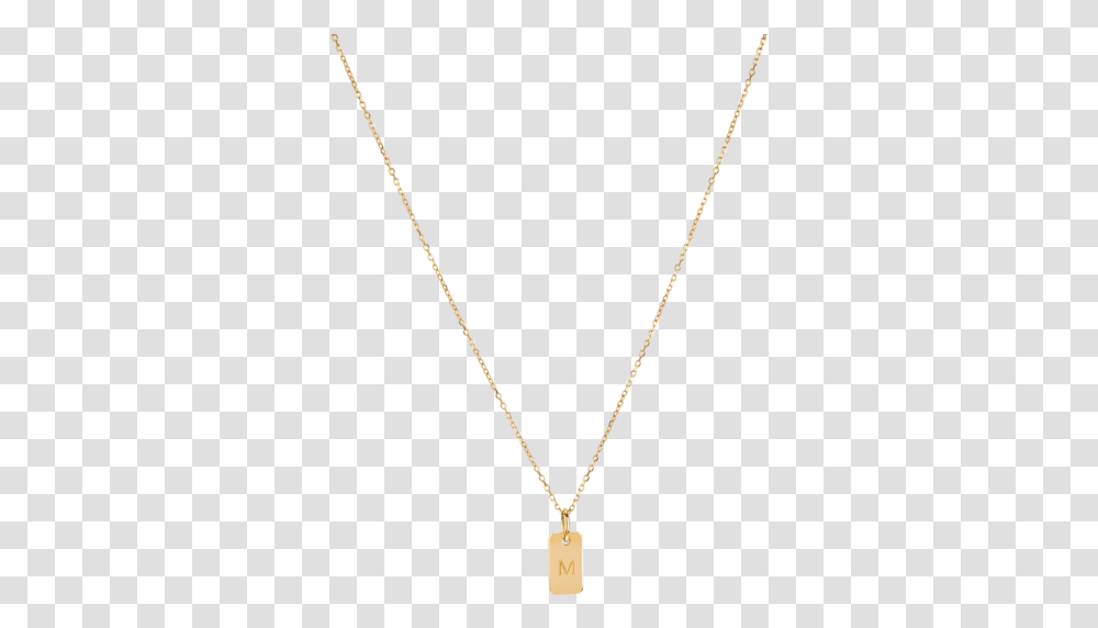 Necklace, Jewelry, Accessories, Accessory, Pendant Transparent Png