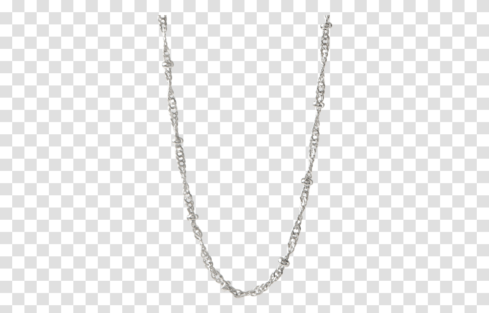 Necklace, Jewelry, Accessories, Accessory, Wand Transparent Png