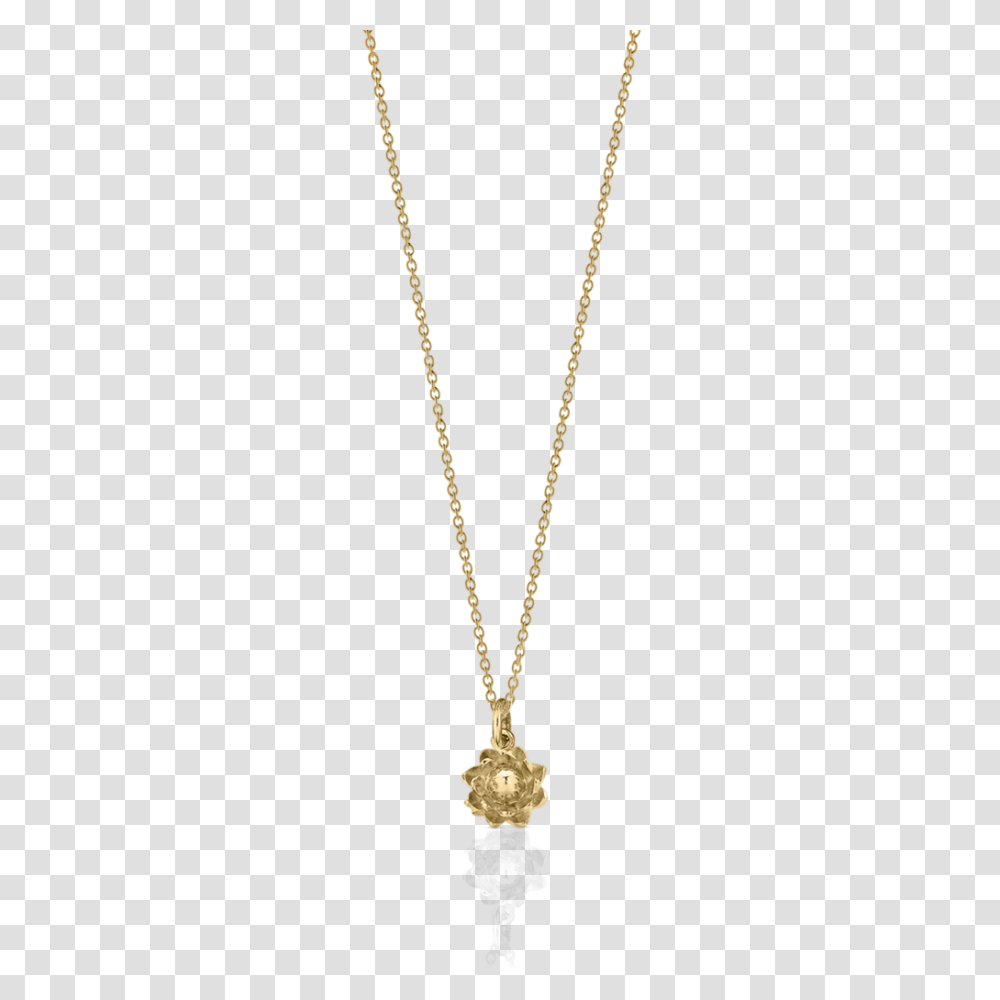 Necklace, Jewelry, Pendant, Accessories, Accessory Transparent Png