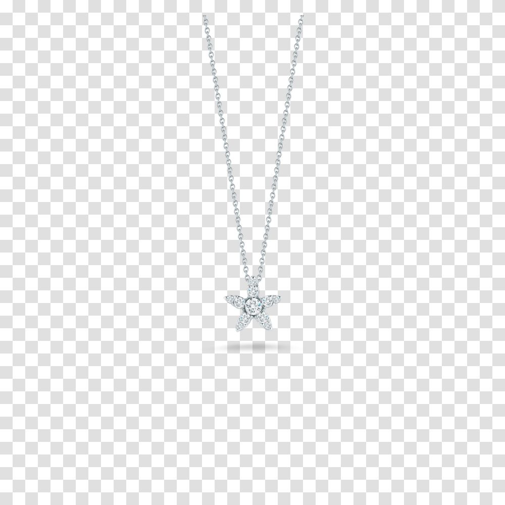 Necklace, Jewelry, Pendant, Accessories, Accessory Transparent Png